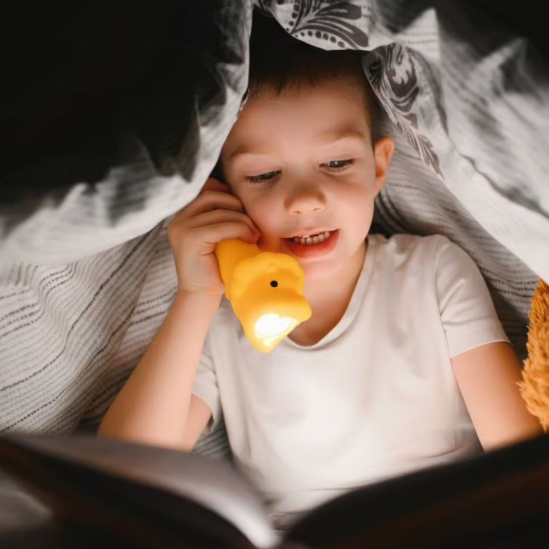 lampe de poche lion little l 