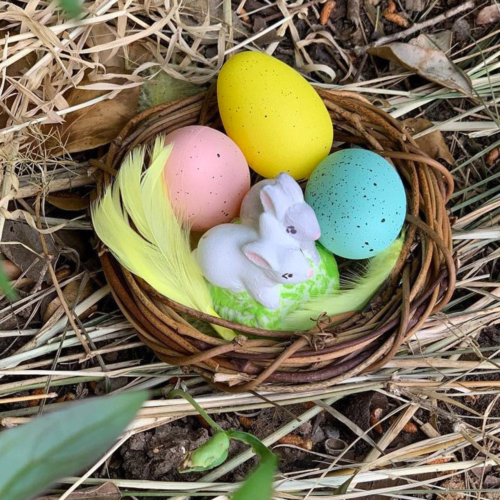 Moulage - Mes petits lapins