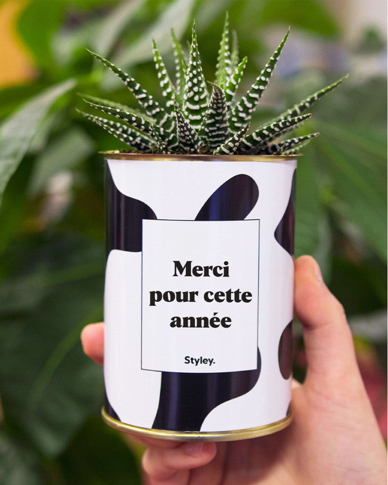 Plante - Merci pour cette année
