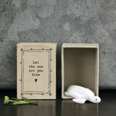 Mini boîte tortue - Let the sea set you free