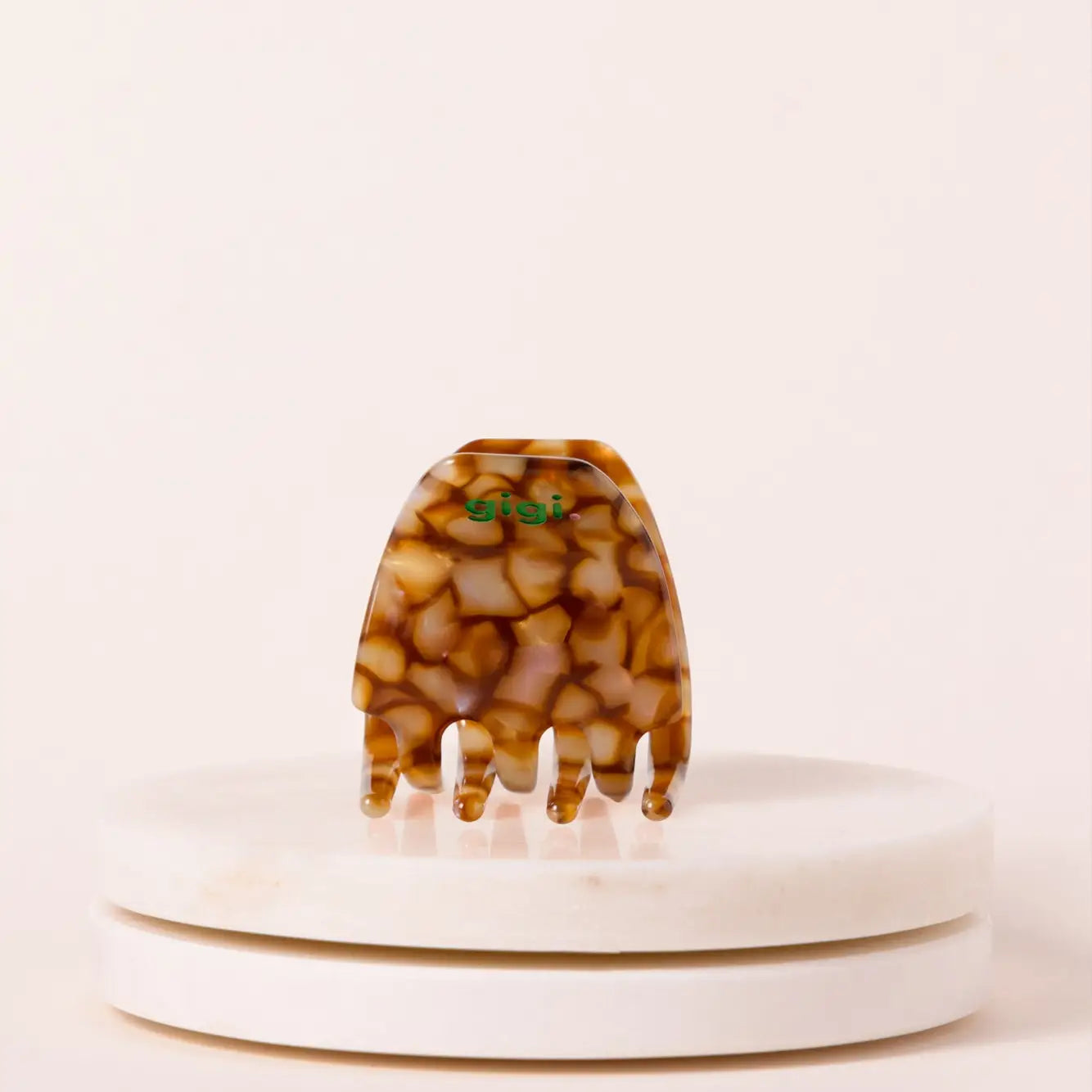 mini pince cannelle gigi