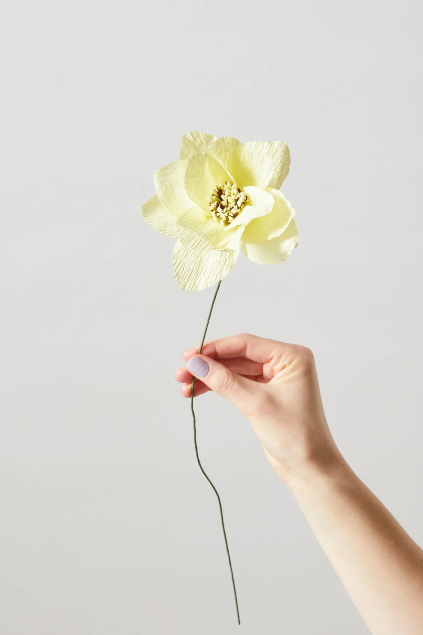 Fleur - Dahlia Jaune