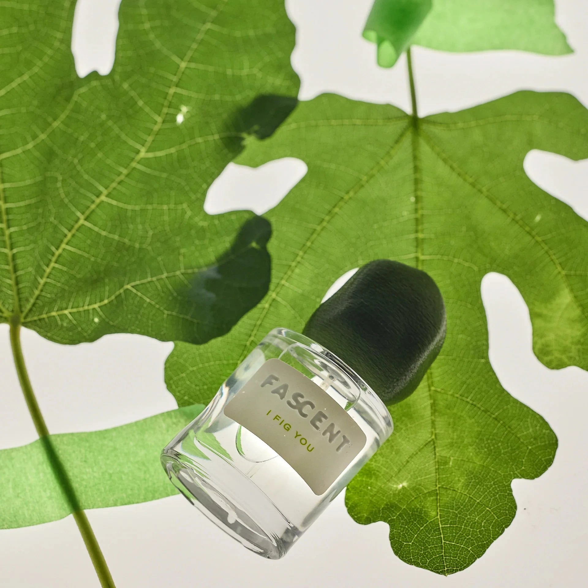 parfum I fig you Fascent 