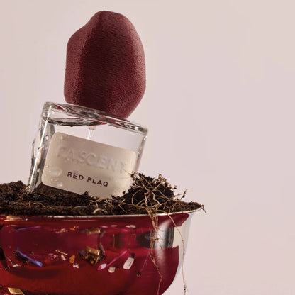  parfum red flag fascent