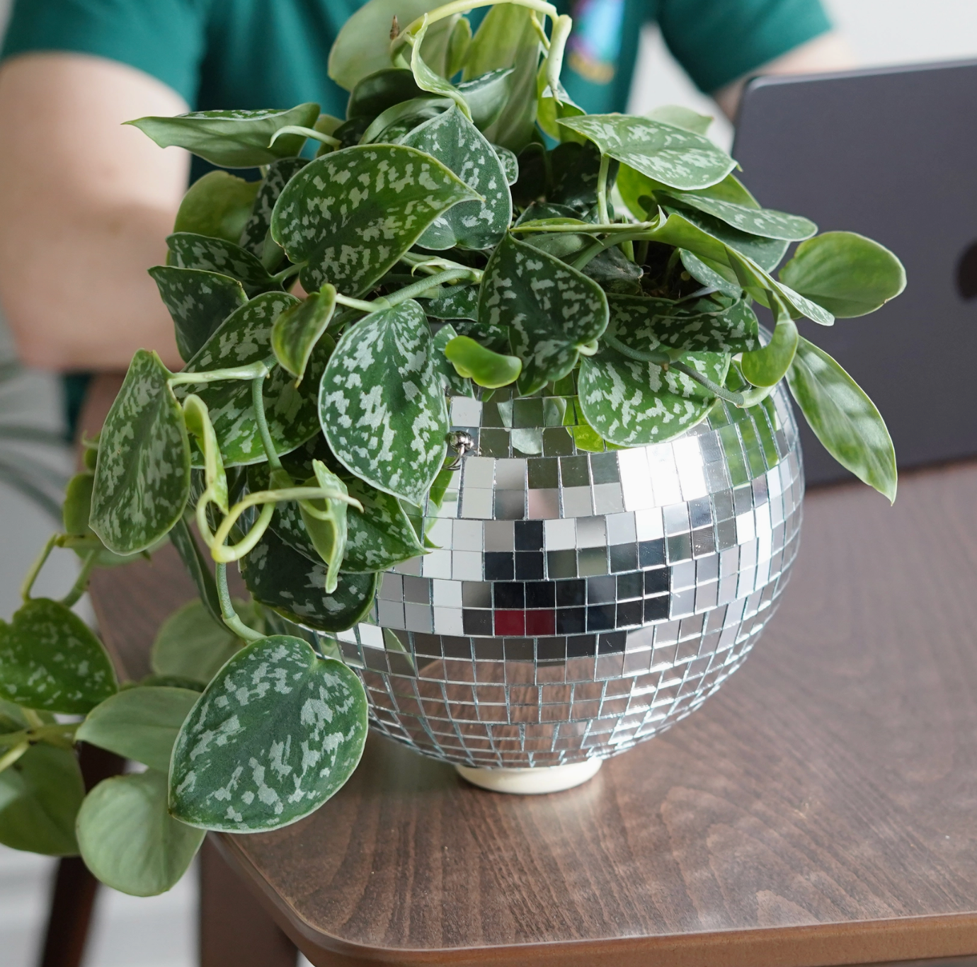 Pot de plantes disco boule à facettes - Argent GM