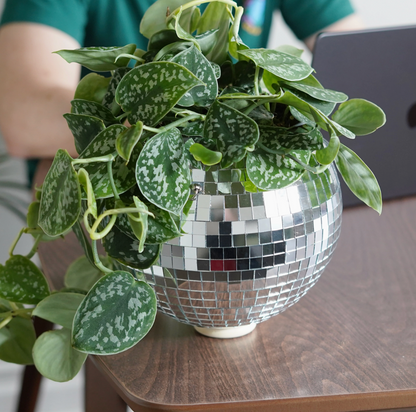 Pot de plantes disco boule à facettes - Argent GM
