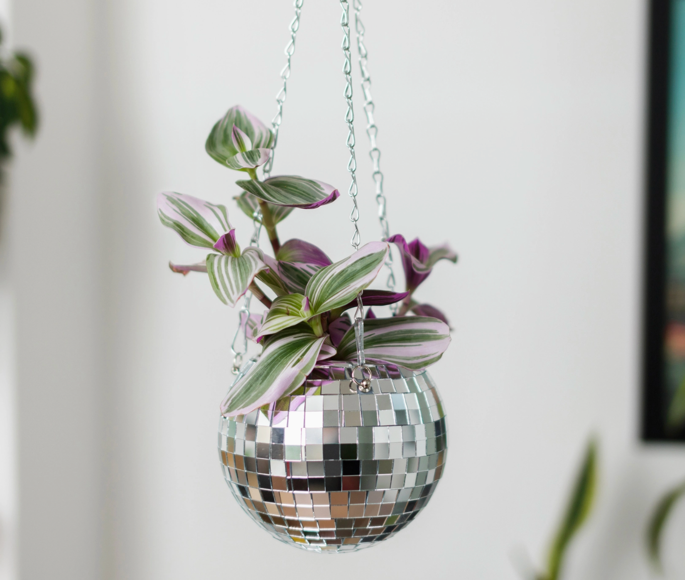 Pot de plantes disco boule à facettes - Argent MM