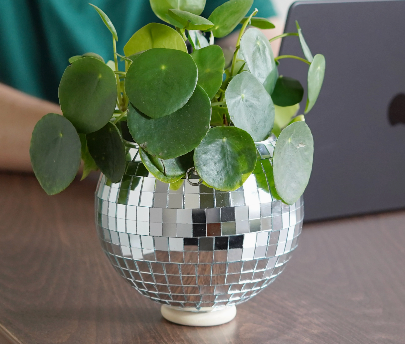 Pot de plantes disco boule à facettes - Argent MM