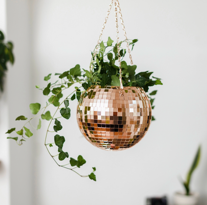 Pot de plantes disco boule à facettes - Champagne GM