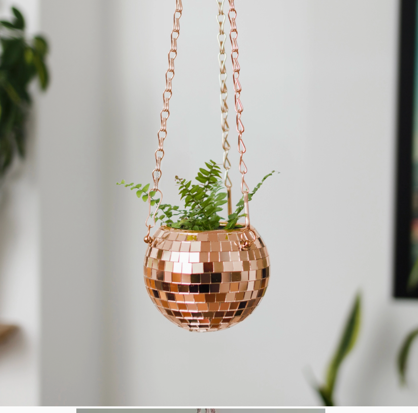 Pot de plantes disco boule à facettes - Champagne PM