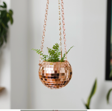 Pot de plantes disco boule à facettes - Champagne PM