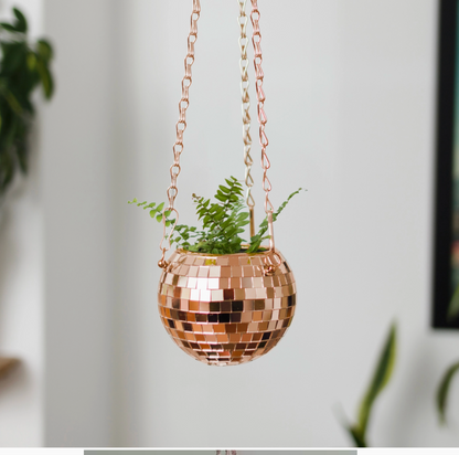 Pot de plantes disco boule à facettes - Champagne PM