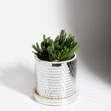 Cache-pot - Disco