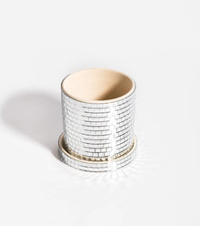 Cache-pot - Disco