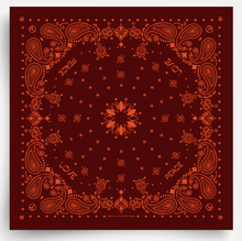 Foulard en soie - Fudge Paprika