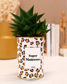 Plante - Super maîtresse
