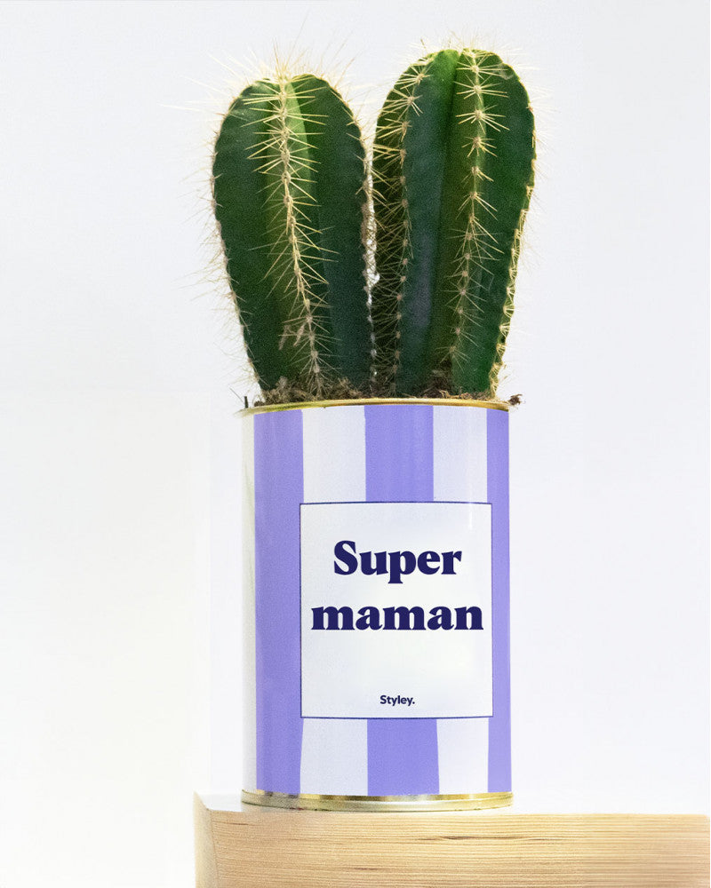 Plante - Super maman