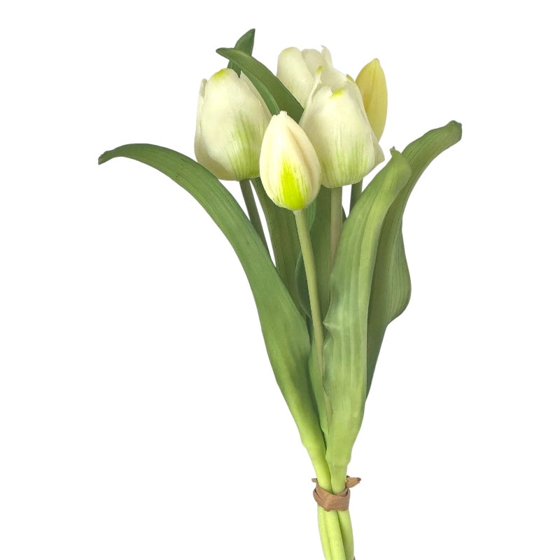 tulipes blanches soft touch