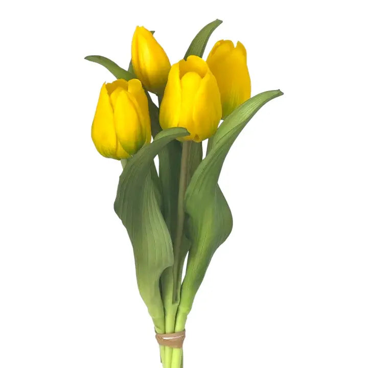 tulipes jaunes soft touch