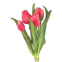 tulipes soft touch fuchsia