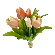tulipes soft touch pêches