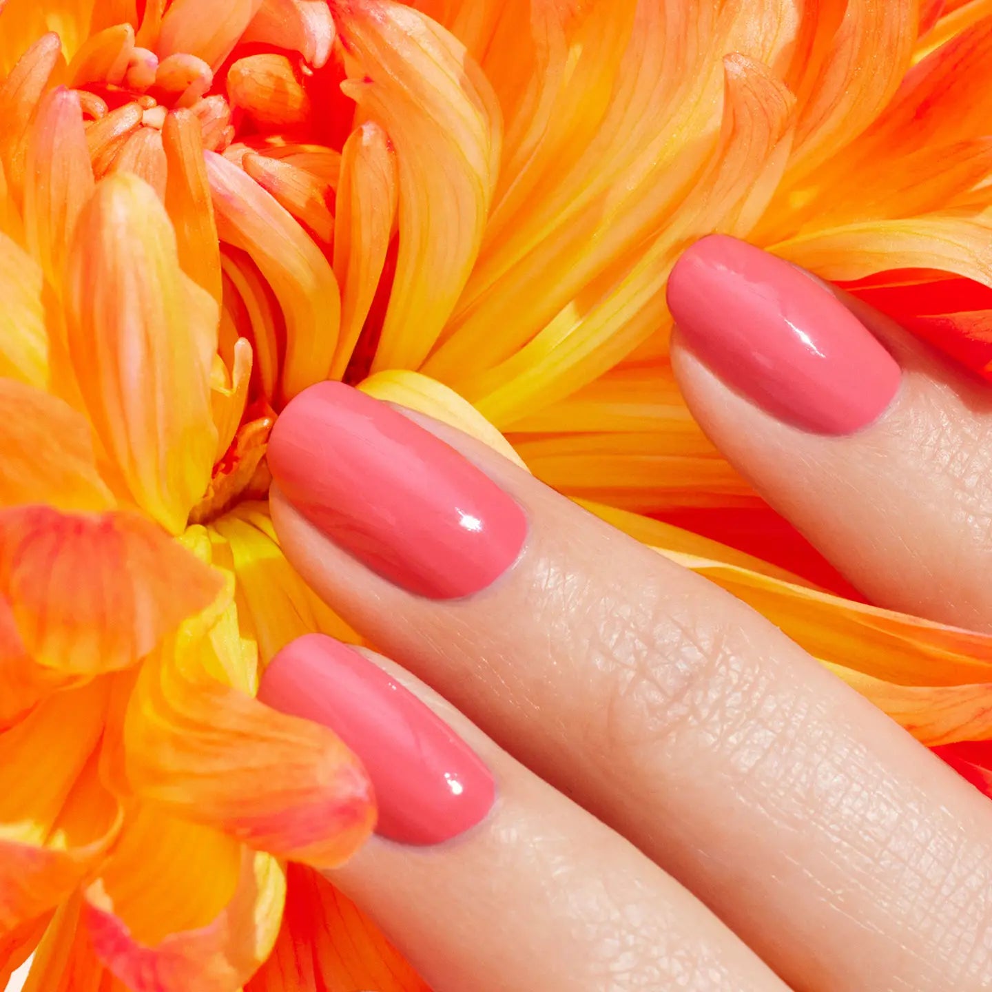 vernis à ongles capucine manucurist