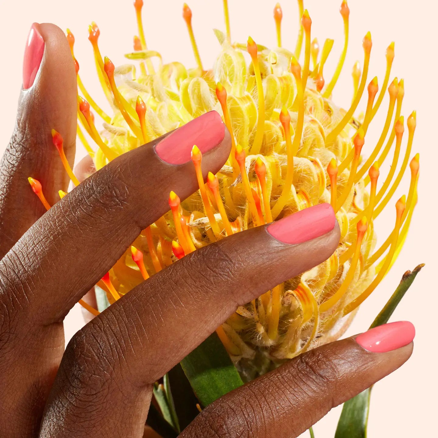 vernis à ongles capucine manucurist